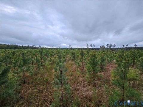 Tiny photo for 0 Courthouse Road, Waverly, VA 23890 (MLS # 2528706)