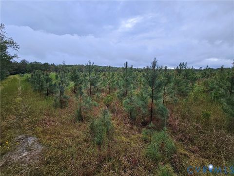 Tiny photo for 0 Courthouse Road, Waverly, VA 23890 (MLS # 2528706)