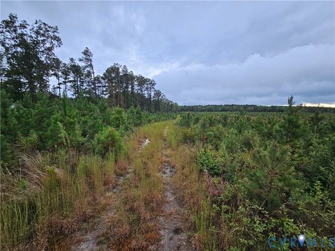 Tiny photo for 0 Courthouse Road, Waverly, VA 23890 (MLS # 2528706)