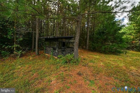 Tiny photo for 0 Cross Country Rd, Mineral, VA 23117 (MLS # 2529161)