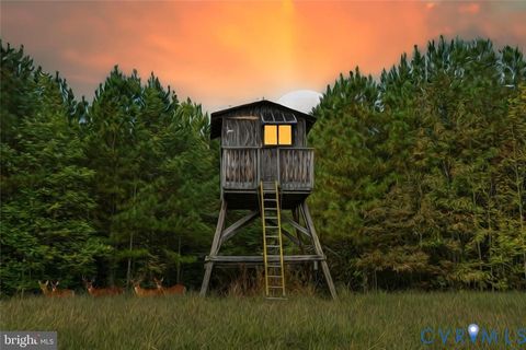 Tiny photo for 0 Cross Country Rd, Mineral, VA 23117 (MLS # 2529161)