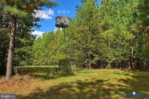 Tiny photo for 0 Cross Country Rd, Mineral, VA 23117 (MLS # 2529161)