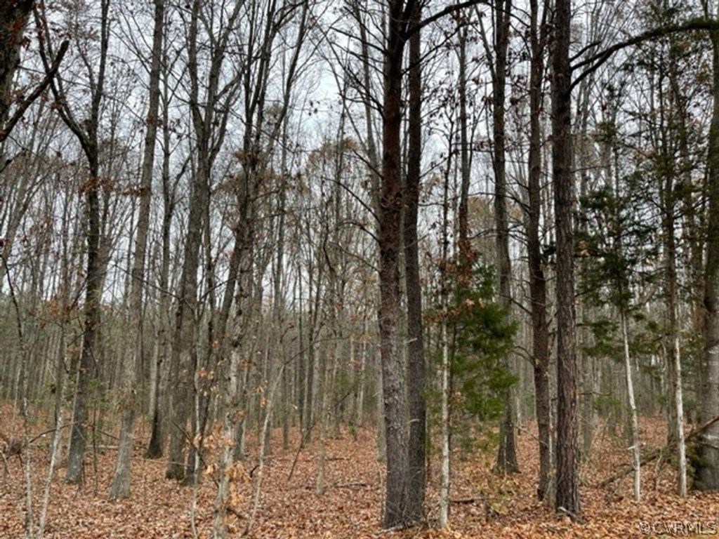 Photo for 0 Ballsville Road, Powhatan, VA 23139 (MLS # 2230808)