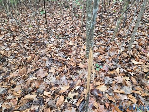 Tiny photo for 0 Tabscott Road, Kents Store, VA 23084 (MLS # 2526638)