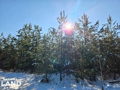 Tiny photo for 0 Tabscott Road, Kents Store, VA 23084 (MLS # 2526638)