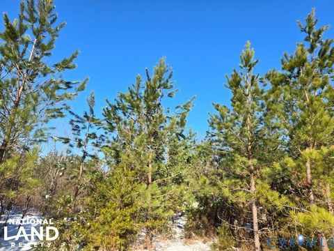 Tiny photo for 0 Tabscott Road, Kents Store, VA 23084 (MLS # 2526638)