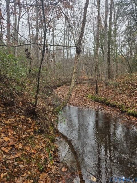 Tiny photo for 0 Tabscott Road, Kents Store, VA 23084 (MLS # 2526638)