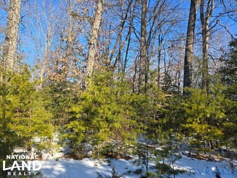 Tiny photo for 0 Tabscott Road, Kents Store, VA 23084 (MLS # 2526638)