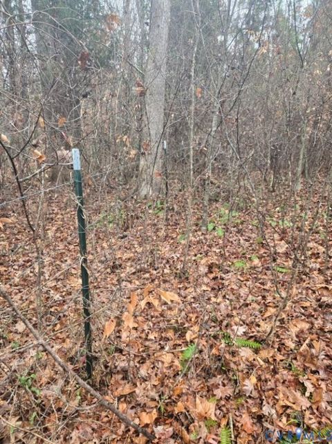 Tiny photo for 0 Tabscott Road, Kents Store, VA 23084 (MLS # 2526638)