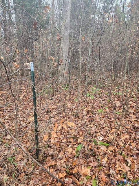 Tiny photo for 0 Tabscott Road, Kents Store, VA 23084 (MLS # 2526638)