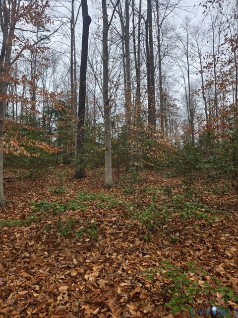 Tiny photo for 0 Tabscott Road, Kents Store, VA 23084 (MLS # 2526638)