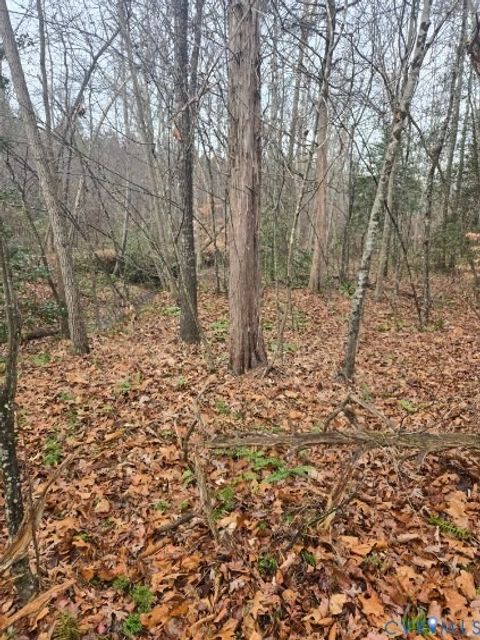 Tiny photo for 0 Tabscott Road, Kents Store, VA 23084 (MLS # 2526638)