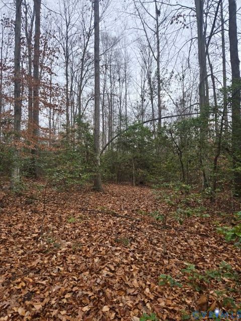 Tiny photo for 0 Tabscott Road, Kents Store, VA 23084 (MLS # 2526638)