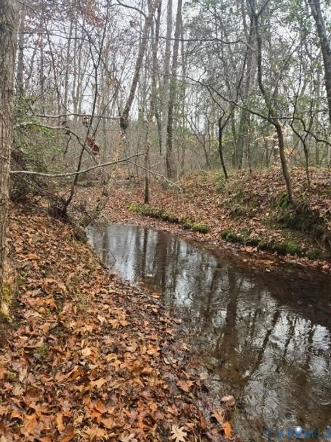 Tiny photo for 0 Tabscott Road, Kents Store, VA 23084 (MLS # 2526638)