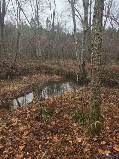 Tiny photo for 0 Tabscott Road, Kents Store, VA 23084 (MLS # 2526638)