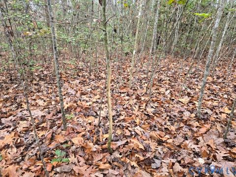 Tiny photo for 0 Tabscott Road, Kents Store, VA 23084 (MLS # 2526638)