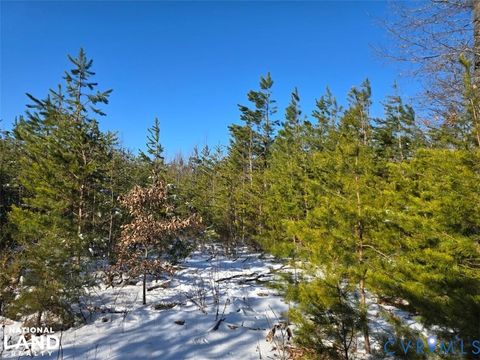 Tiny photo for 0 Tabscott Road, Kents Store, VA 23084 (MLS # 2526638)