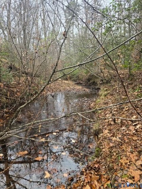 Photo of 0 Tabscott Road, Kents Store, VA 23084 (MLS # 2526638)