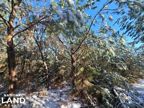 Tiny photo for 0 Tabscott Road, Kents Store, VA 23084 (MLS # 2526638)