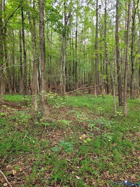 Tiny photo for TBD09 Kimages Road, Charles City, VA 23030 (MLS # 2626883)