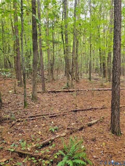 Tiny photo for TBD09 Kimages Road, Charles City, VA 23030 (MLS # 2626883)