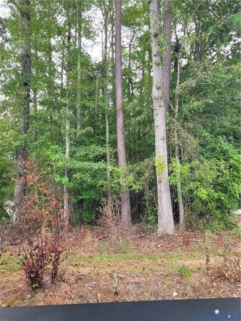 Tiny photo for TBD09 Kimages Road, Charles City, VA 23030 (MLS # 2626883)
