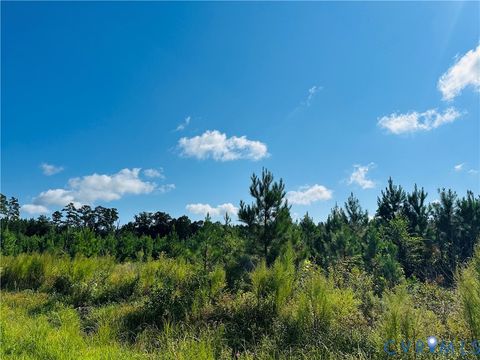 Tiny photo for 068-0 Prince George Dr, Disputanta, VA 23842 (MLS # 2525798)