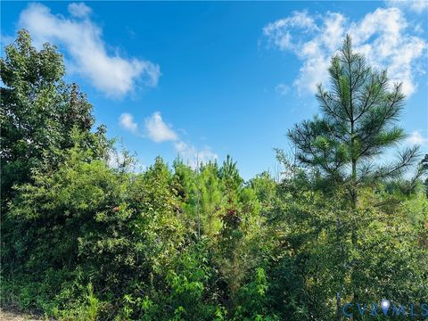 Tiny photo for 068-0 Prince George Dr, Disputanta, VA 23842 (MLS # 2525798)