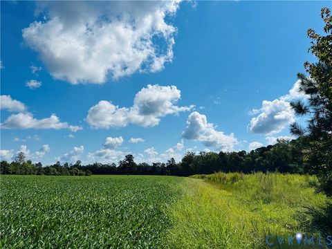 Tiny photo for 068-0 Prince George Dr, Disputanta, VA 23842 (MLS # 2525798)