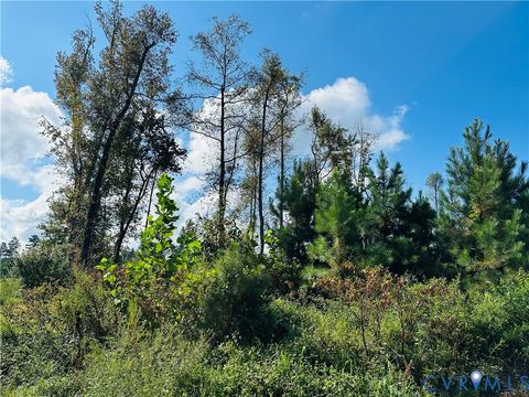 Tiny photo for 068-0 Prince George Dr, Disputanta, VA 23842 (MLS # 2525798)