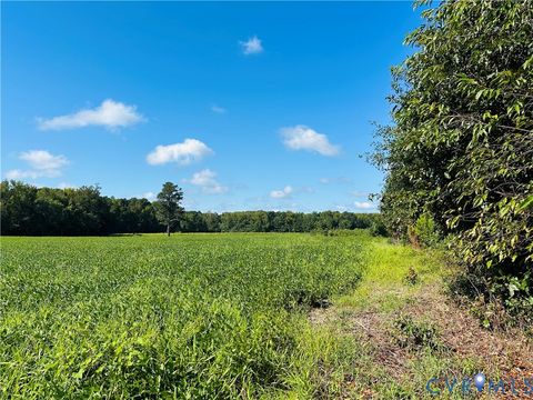 Tiny photo for 068-0 Prince George Dr, Disputanta, VA 23842 (MLS # 2525798)