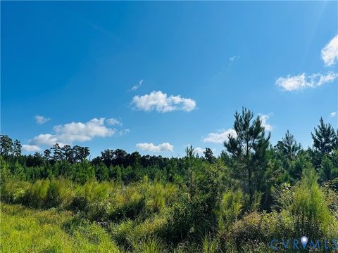 Tiny photo for 068-0 Prince George Dr, Disputanta, VA 23842 (MLS # 2525798)