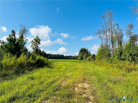 Tiny photo for 068-0 Prince George Dr, Disputanta, VA 23842 (MLS # 2525798)