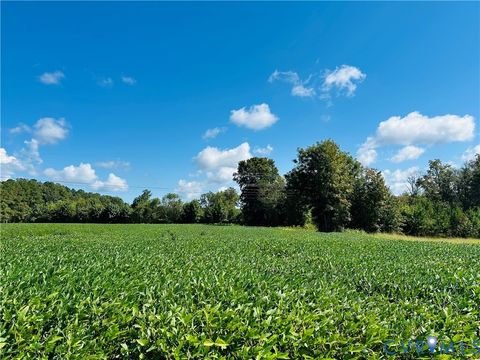 Tiny photo for 068-0 Prince George Dr, Disputanta, VA 23842 (MLS # 2525798)