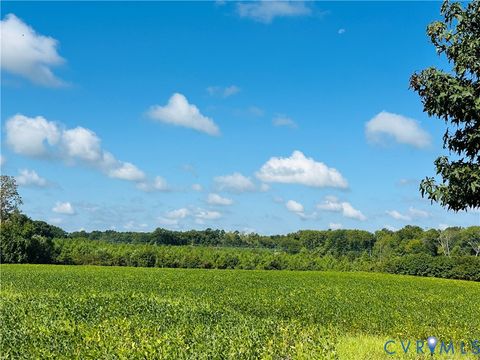 Tiny photo for 068-0 Prince George Dr, Disputanta, VA 23842 (MLS # 2525798)