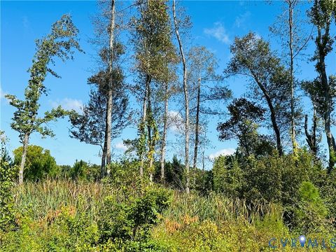 Tiny photo for 068-0 Prince George Dr, Disputanta, VA 23842 (MLS # 2525798)