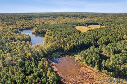 Tiny photo for 20145 Hunnicut Road, Dinwiddie, VA 23803 (MLS # 2609832)