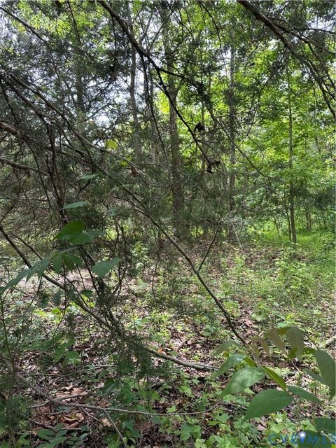Tiny photo for 0 Jonesboro Church Road, Blackstone, VA 23824 (MLS # 2529064)