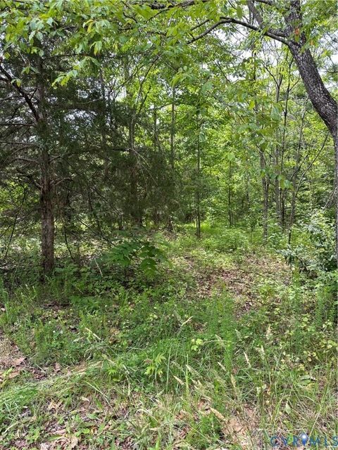 Tiny photo for 0 Jonesboro Church Road, Blackstone, VA 23824 (MLS # 2529064)