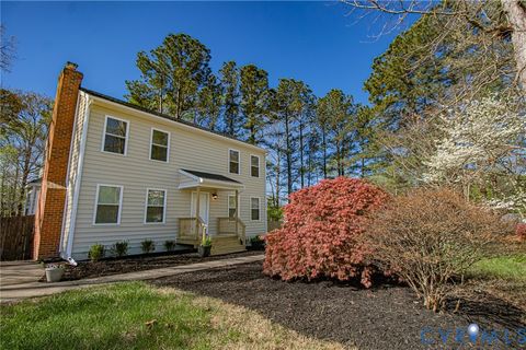 Photo of 11019 Blossomwood Road, Chesterfield, VA 23832 (MLS # 2608593)