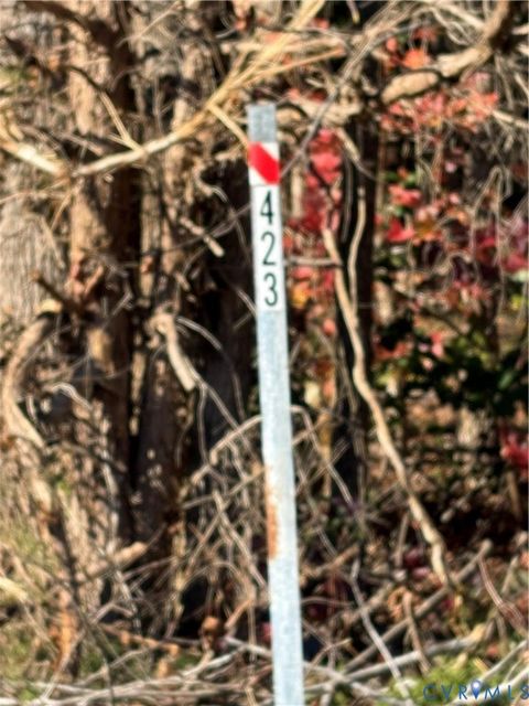 Tiny photo for 423 Western Drive Dr, Lawrenceville, VA 23868 (MLS # 2530775)