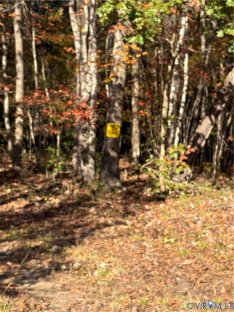 Tiny photo for 423 Western Drive Dr, Lawrenceville, VA 23868 (MLS # 2530775)