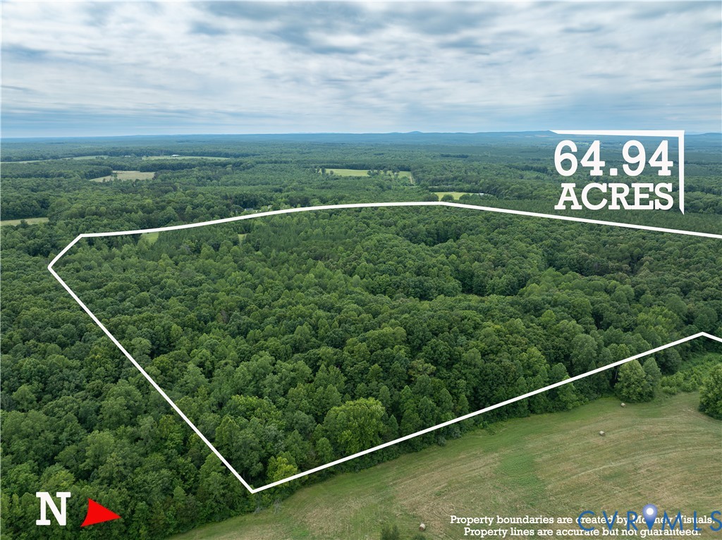 516,480,724 Perkins Mill Road, Dillwyn, VA, 23936