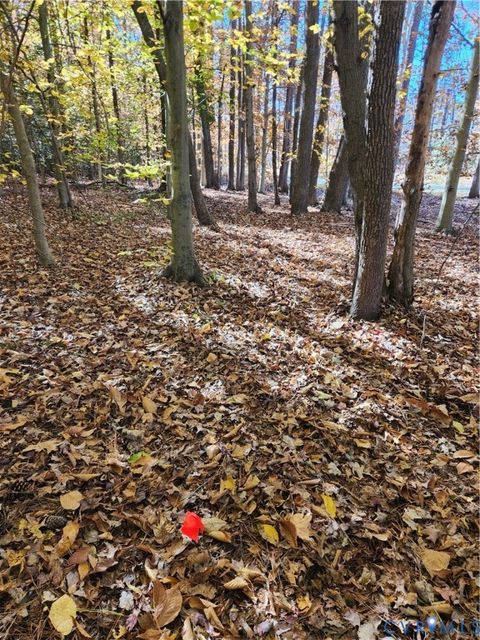 Tiny photo for 0 Sandy Hook Road, Sandy Hook, VA 23153 (MLS # 2530780)