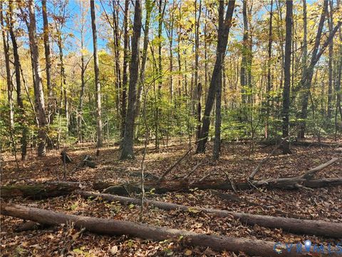 Tiny photo for 0 Sandy Hook Road, Sandy Hook, VA 23153 (MLS # 2530780)