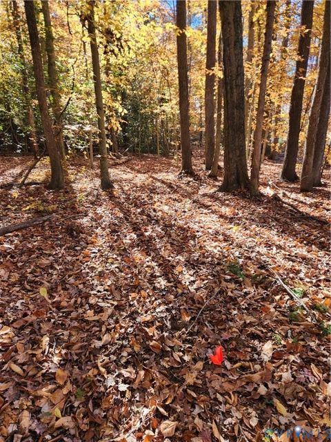 Tiny photo for 0 Sandy Hook Road, Sandy Hook, VA 23153 (MLS # 2530780)