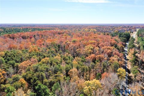 Tiny photo for 0 Sandy Hook Road, Sandy Hook, VA 23153 (MLS # 2530780)