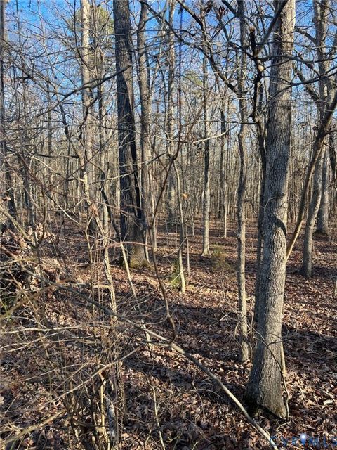 Tiny photo for 32-1-5 Patrick Henry Highway, Amelia, VA 23002 (MLS # 2532688)