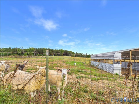 Tiny photo for 290 Western Lane, Appomattox, VA 24522 (MLS # 2628752)