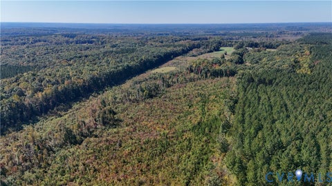 Tiny photo for 6502 Nutbush Road, Lunenburg, VA 23942 (MLS # 2628154)